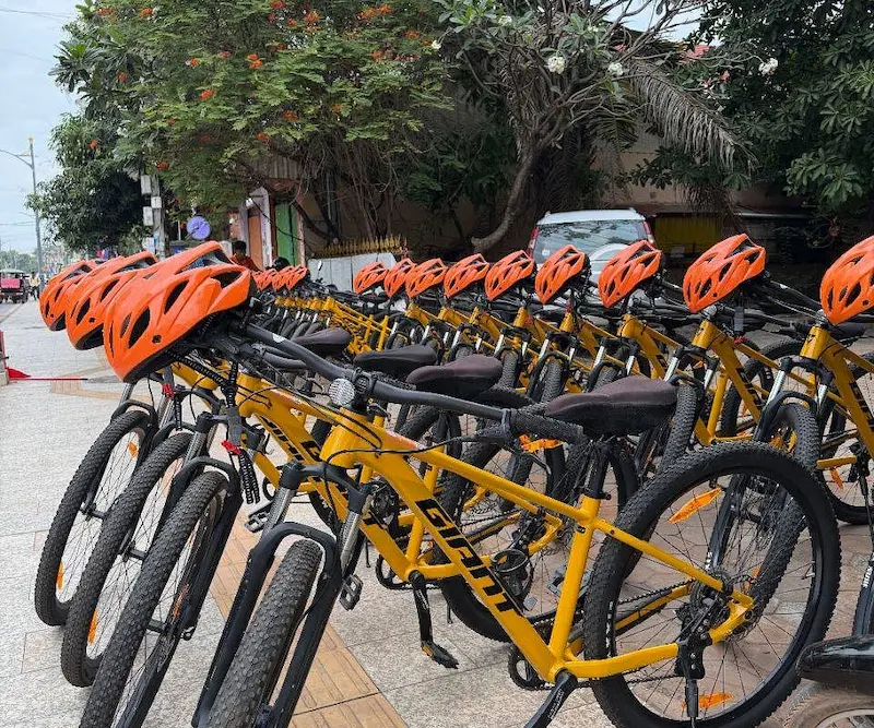 Bike rental fleet
